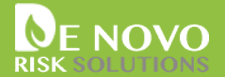 De Novo Risk Solutions Logo